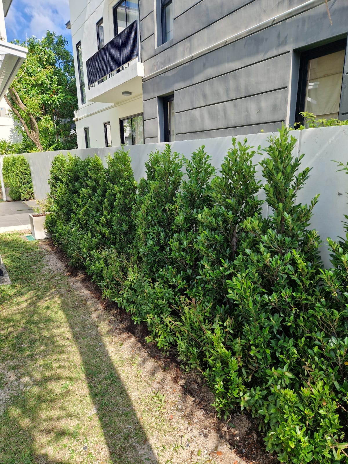 WhatsApp Image 2026-02-26 at 11.45.47 (1)