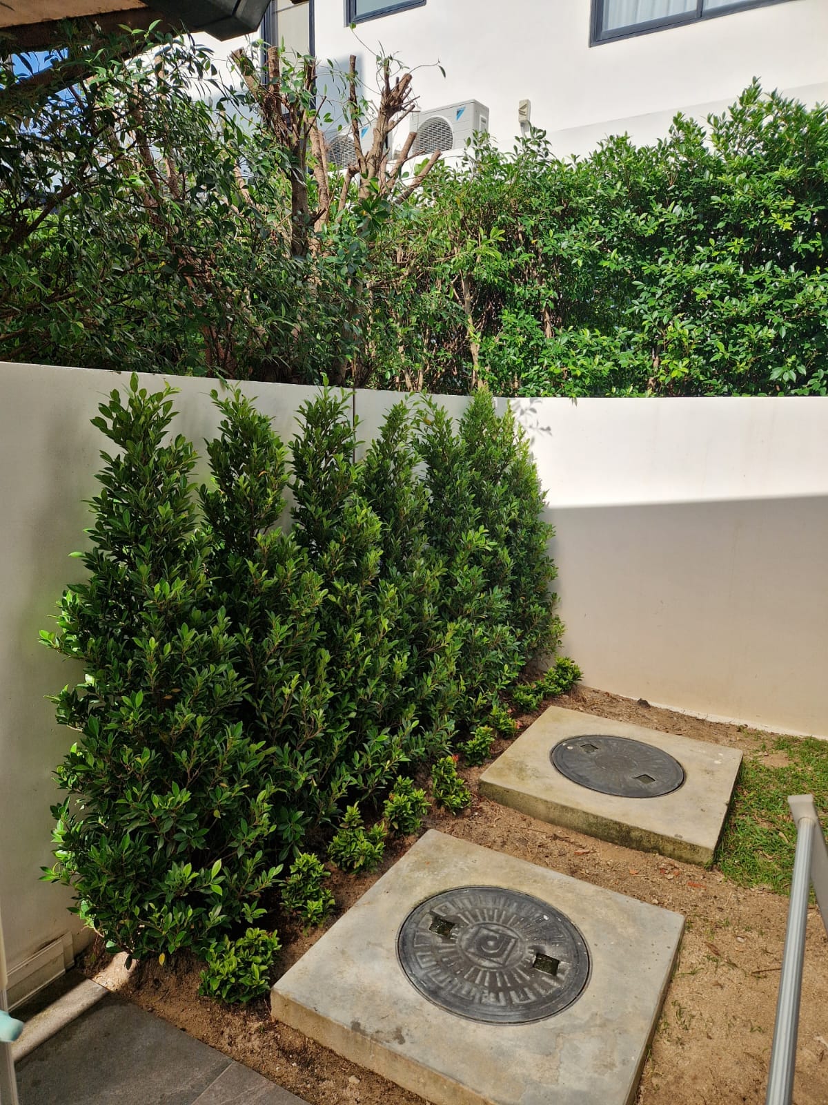 WhatsApp Image 2026-02-26 at 11.45.49 (1)