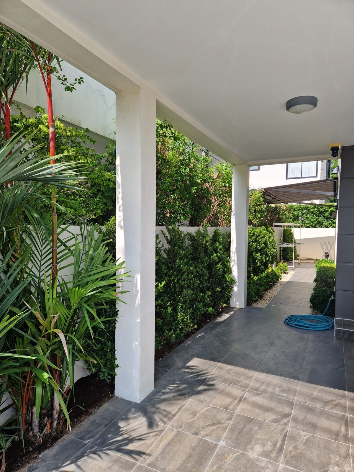 WhatsApp Image 2026-02-26 at 11.45.49