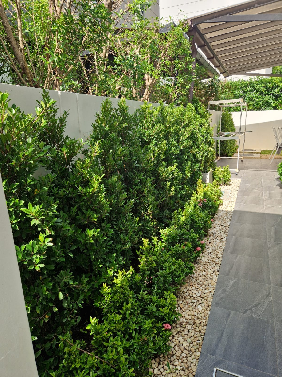 WhatsApp Image 2026-02-26 at 11.45.54 (1)