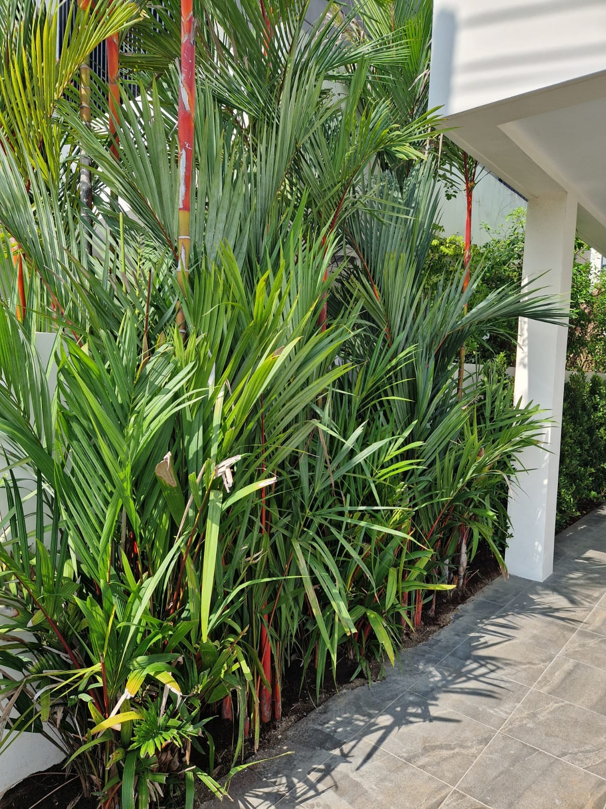 WhatsApp Image 2026-02-26 at 11.45.59 (1)