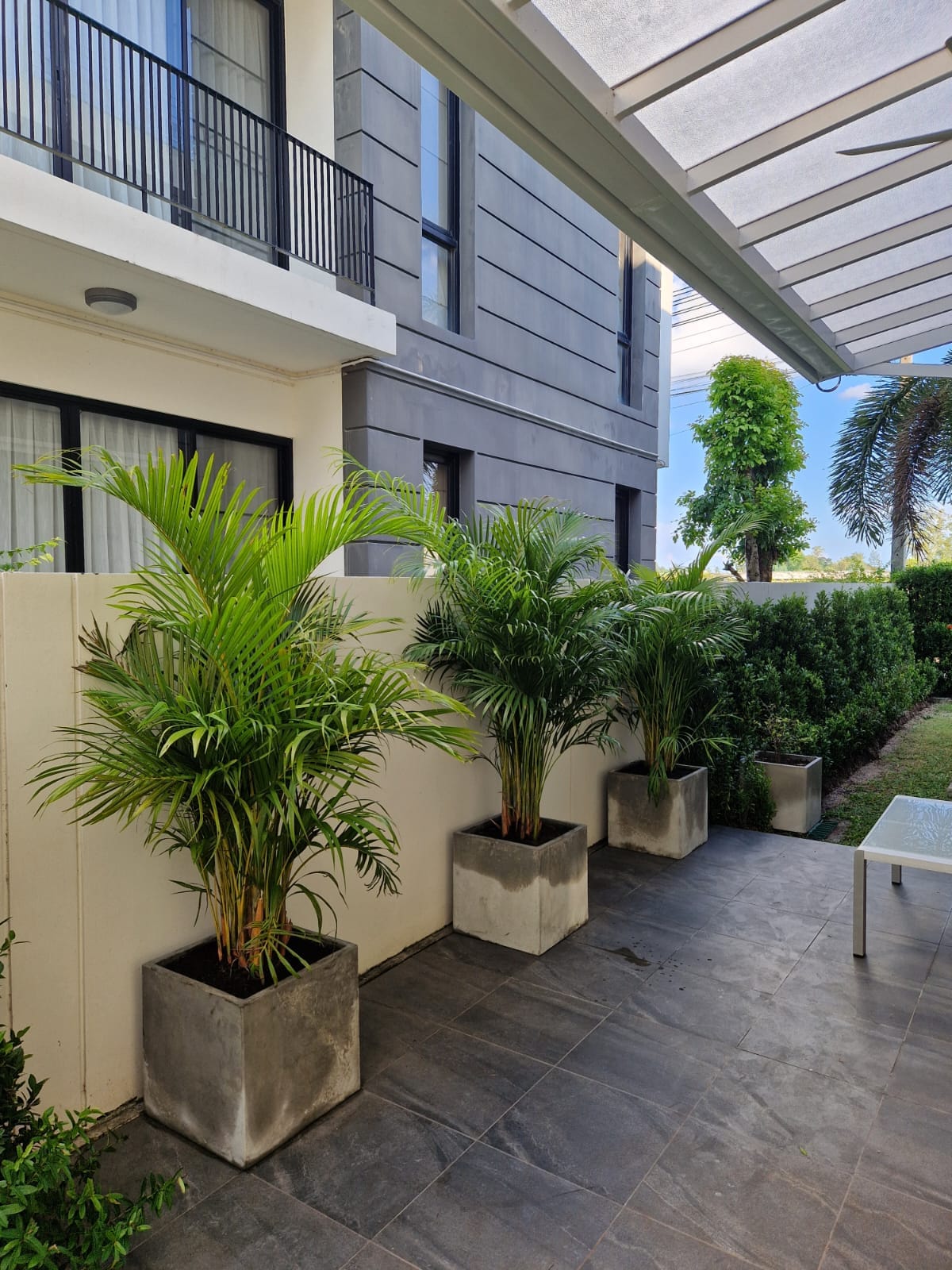 WhatsApp Image 2026-02-26 at 11.46.00