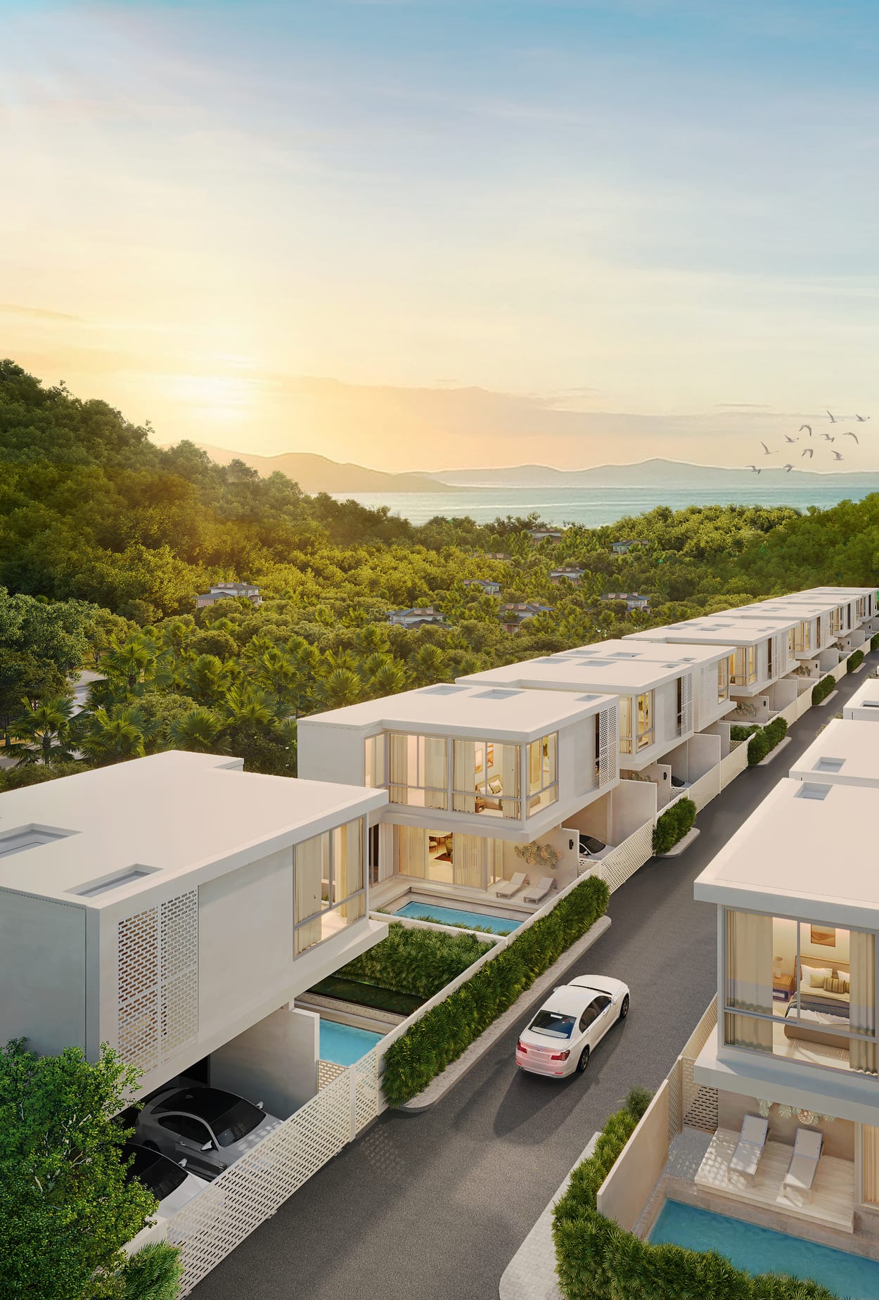 BIRDEYEVIEW_01_OP_1_FINAL_JPEG (4)