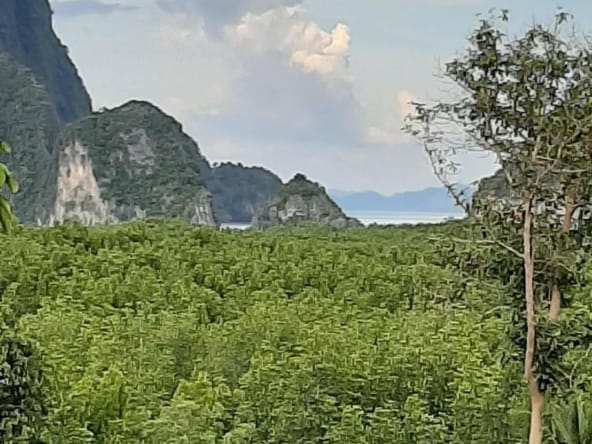 WhatsApp Image 2026 03 05 at 18.35.51