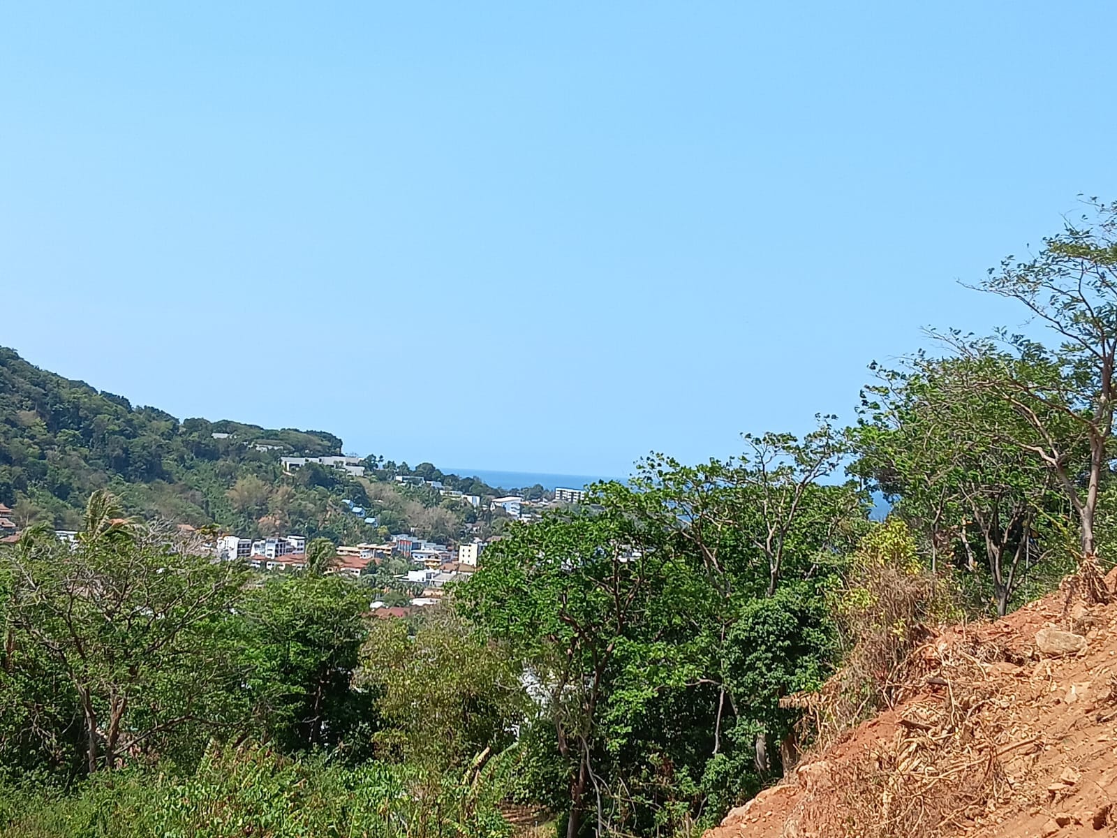 WhatsApp Image 2026-03-08 at 16.58.55 (1)