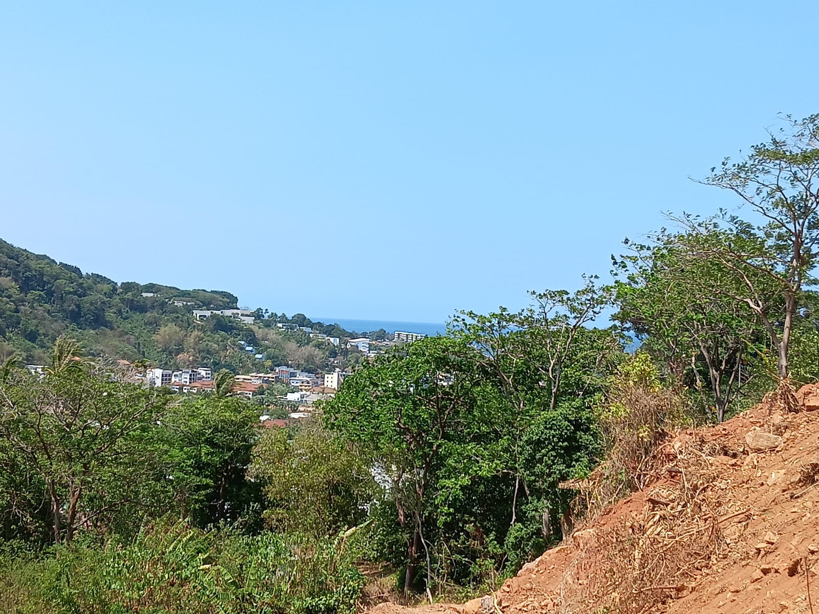 WhatsApp Image 2026-03-08 at 16.58.55