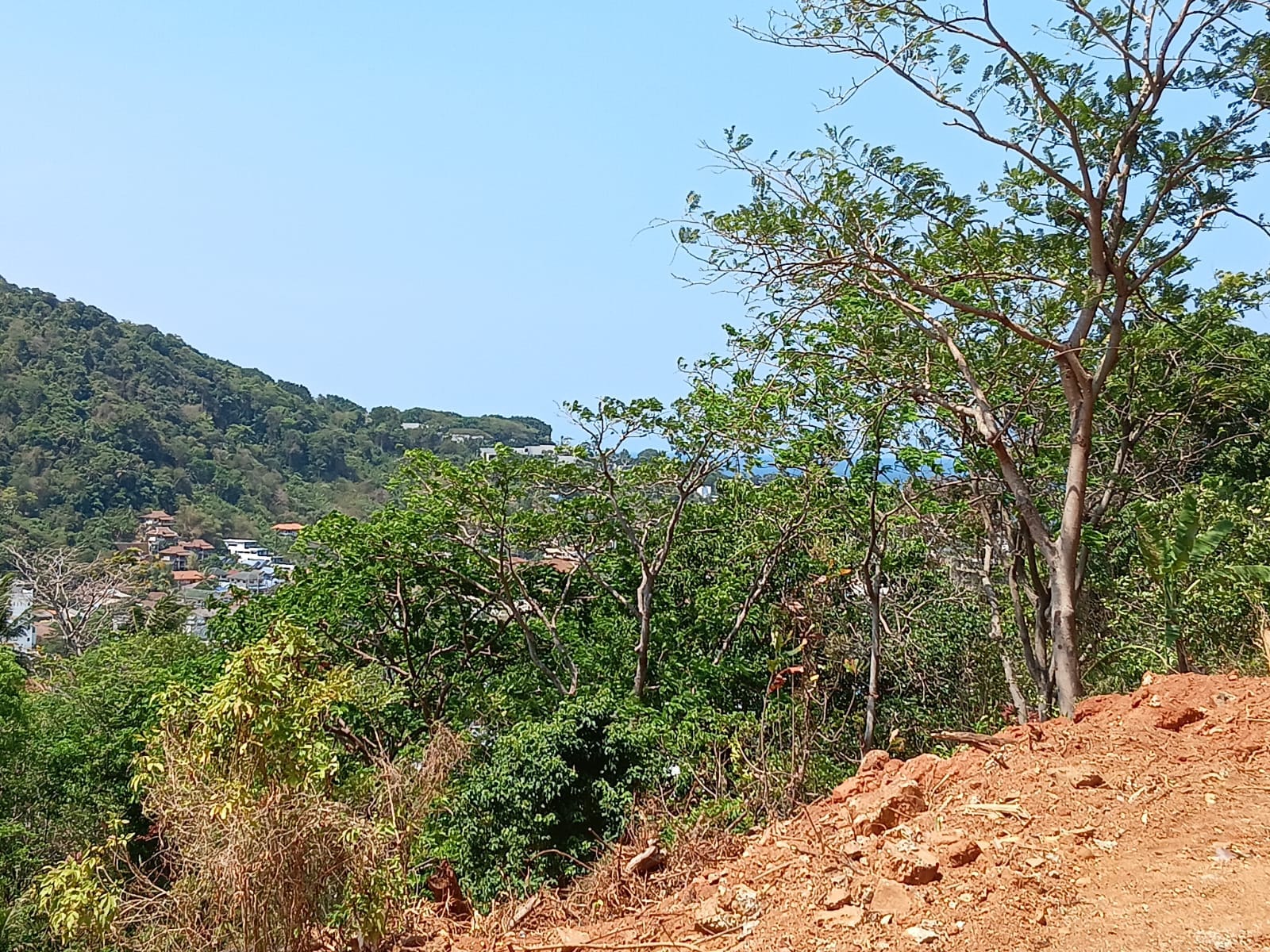 WhatsApp Image 2026-03-08 at 16.58.56